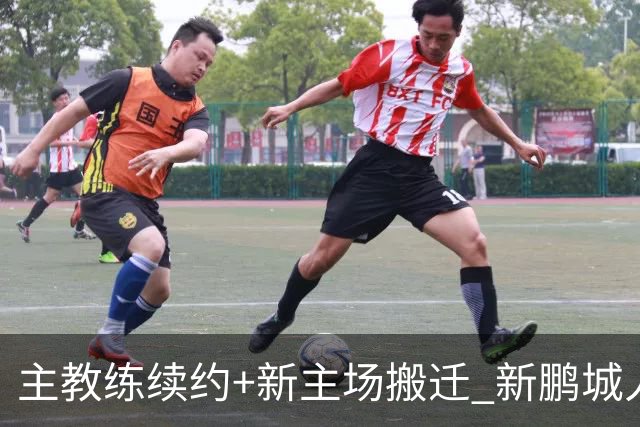 主教练续约+新主场搬迁 新鹏城人员将有大面积调整