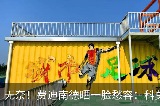 无奈！费迪南德晒一脸愁容：科莫让我们看起来像是中奖进的欧冠