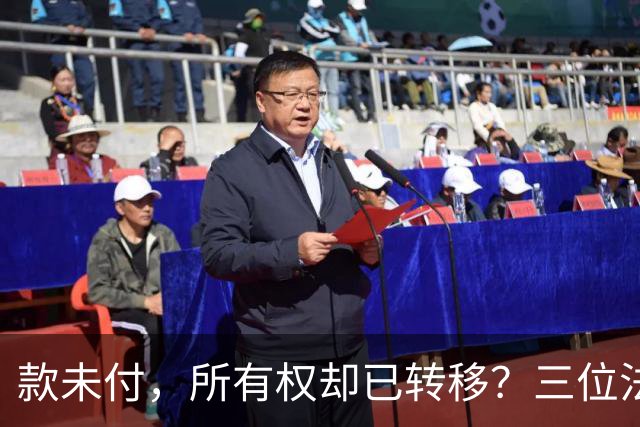款未付，所有权却已转移？三位法学专家提出异议，陕西1200万元原煤追偿案申请再审