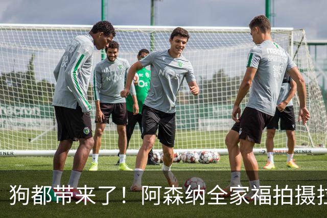 狗都带来了！阿森纳全家福拍摄拉布拉多到场 却没通知萨利巴