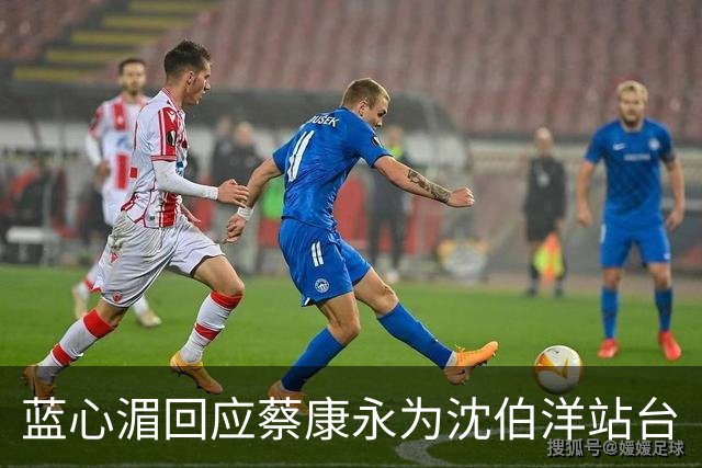 蓝心湄回应蔡康永为沈伯洋站台