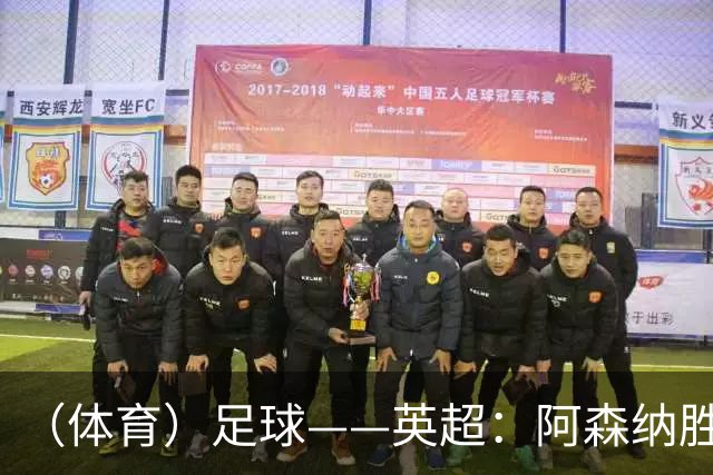 （体育）足球——英超：阿森纳胜埃弗顿