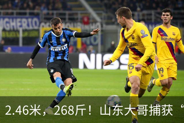 2.46米，268斤！山东大哥捕获“鲅鱼王”：常见鲅鱼仅几斤到十几斤，已被水产公司收购，将做成鲅鱼水饺